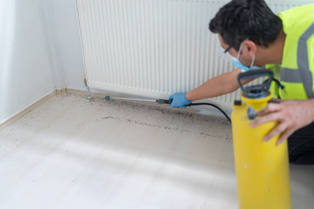 Pest Prevention Services in Timberlane, LA